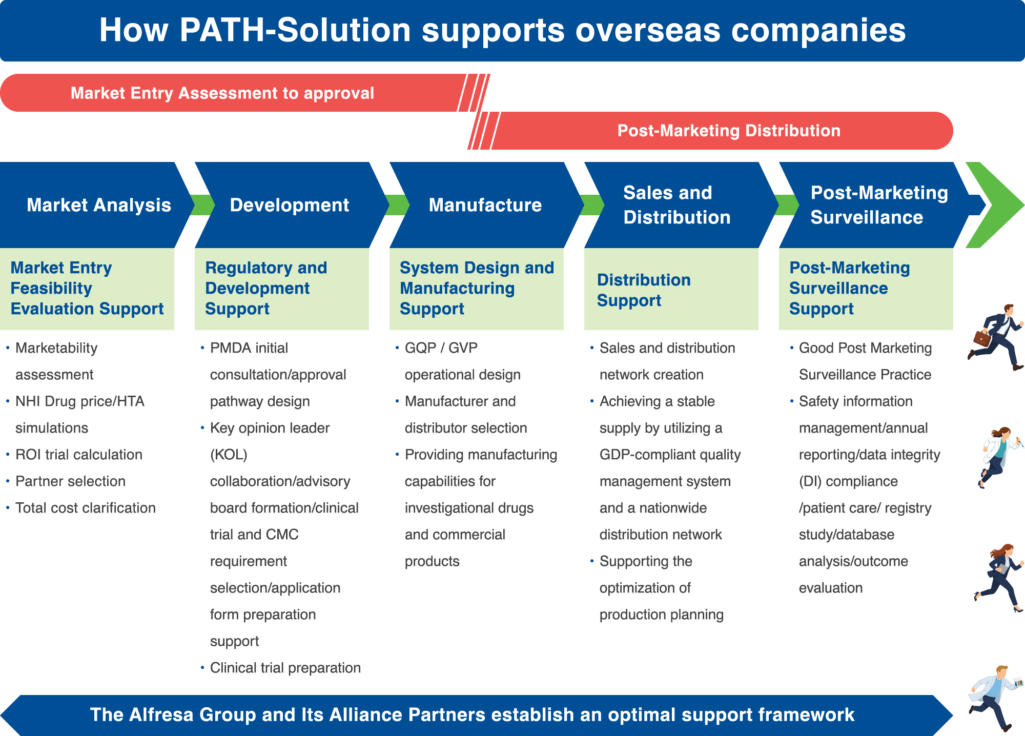 How PATH-Solution の支援内容: 上市前の参入検討から承認 / 上市後の流通 — 市場分析（参入可否判断支援）／開発（規制対応・開発支援）／製造（体制設計・製造支援）／販売・物流（流通支援）／PMS（PMS 支援）の各段階を The Alfresa Group and Its Alliance Partners が支援します